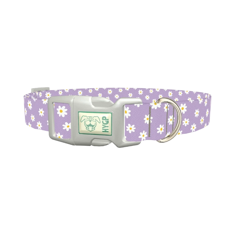 Purple Daisy Pattern Dog Collar - plastic silver