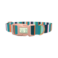 Bright Stripe Dog Collar - plastic rose gold