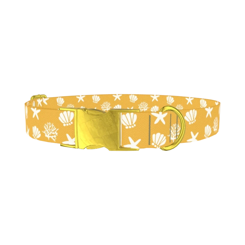 Beach Seashell Dog Collar - metal gold