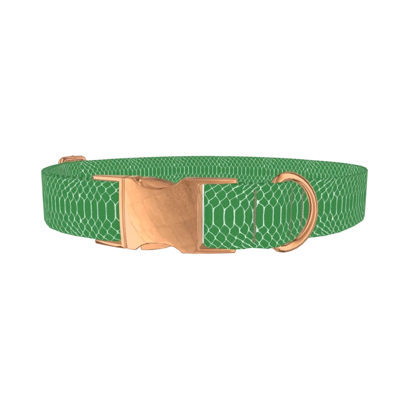 Geometric Snake Skin Dog Collar - metal rose gold