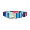 Vivid Stripe Dog Collar - plastic silver