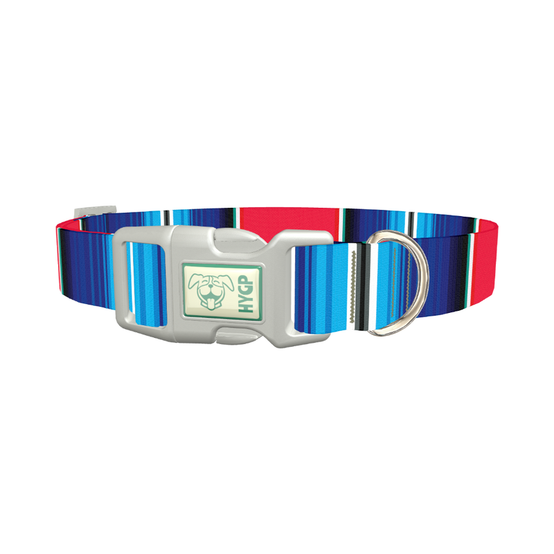 Vivid Stripe Dog Collar - plastic silver