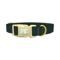  - plastic gold