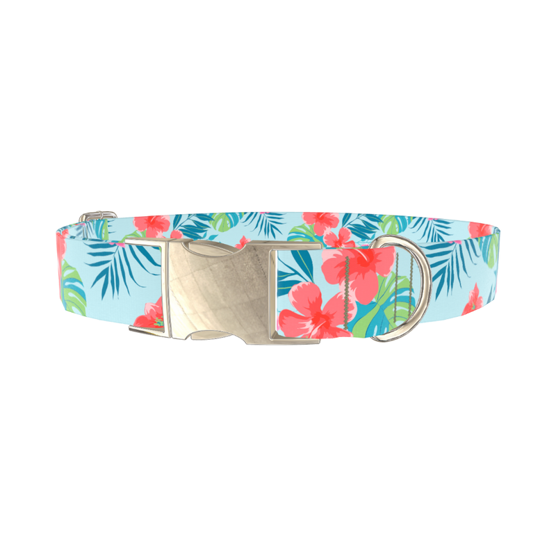 Multi Floral Hibiscus Dog Collar - metal gold