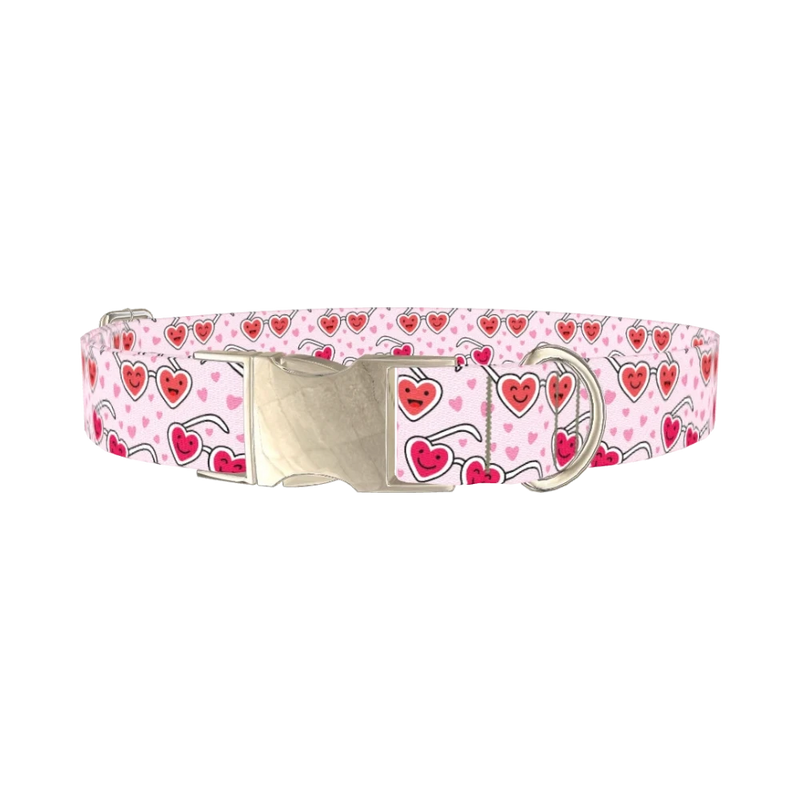 Heart Glasses Dog Collar - metal silver