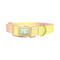 Sunset Gradient Dog Collar - plastic gold