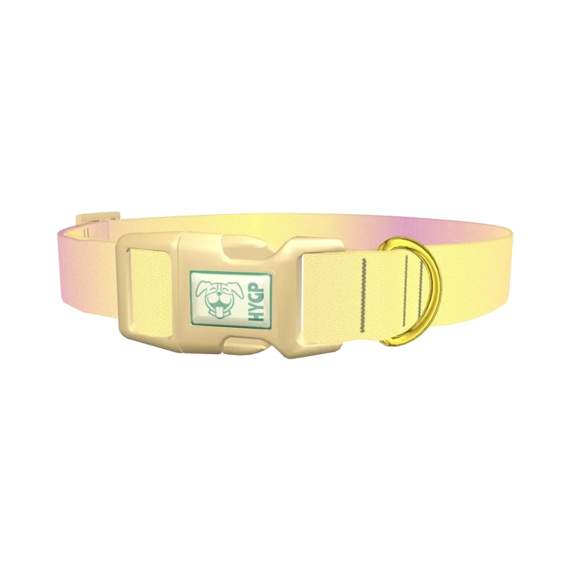 Sunset Gradient Dog Collar - plastic gold