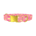 Comet Cloud Dog Collar - metal gold