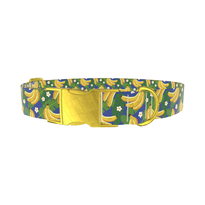 Tropical Banana Leaf Dog Collar