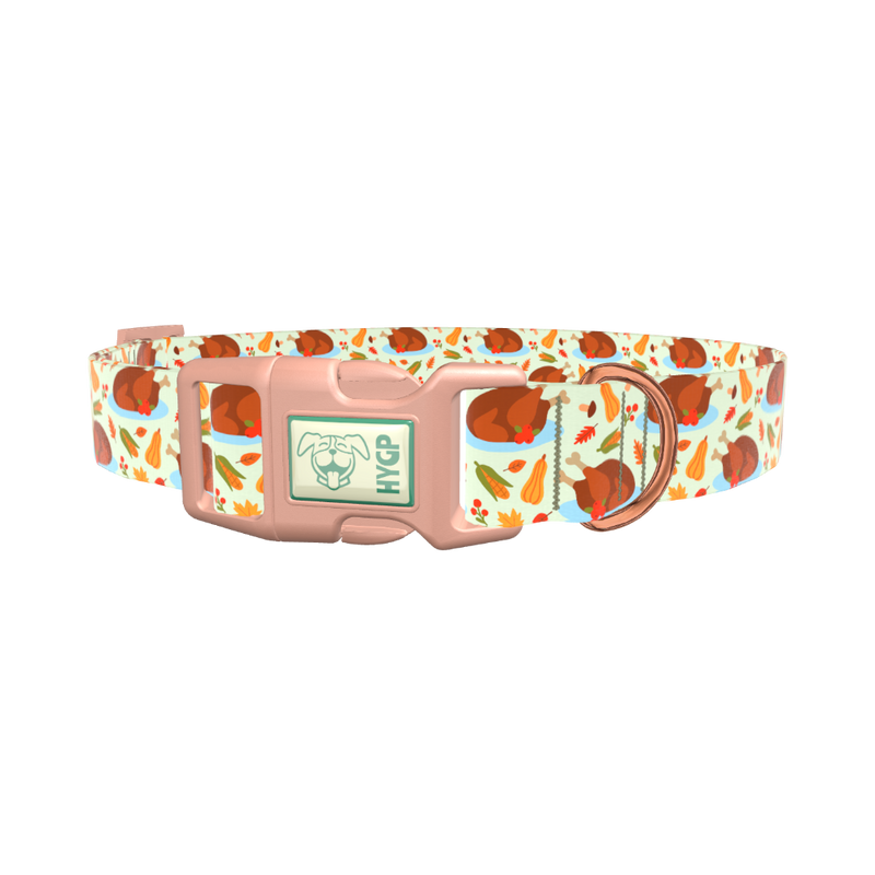 Harvest Feast Dog Collar - plastic gold