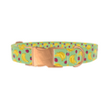 Fruit Pattern Dog Collar - Thumbnail 2