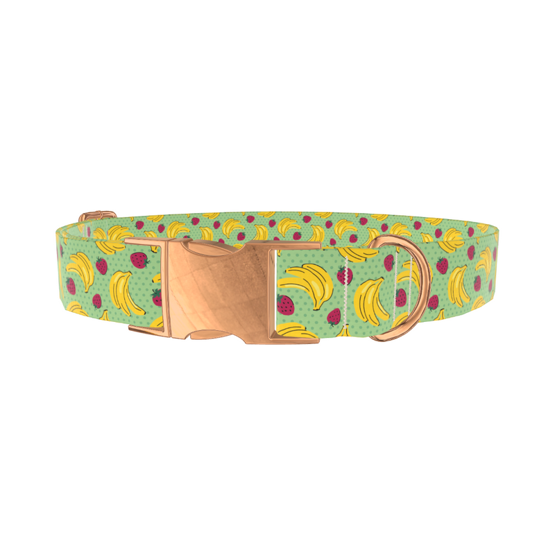 Fruit Pattern Dog Collar