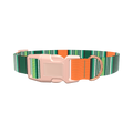 Woven Stripe Dog Collar - plastic gold