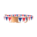 Patriotic Stars and Stripes Dog Collar - metal rose gold