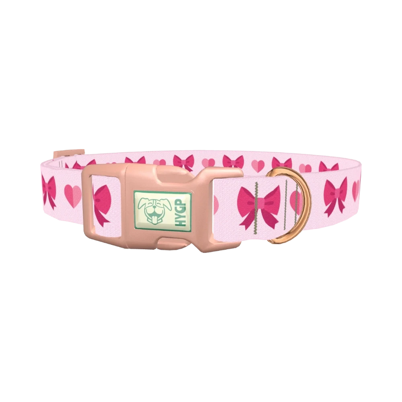 Heart Ribbon Dog Collar - plastic rose gold