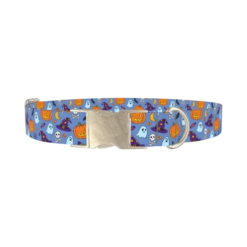 Blue Halloween Witch Hat Dog Collar - metal silver
