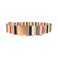 Red Yellow Stripe Dog Collar - metal rose gold