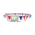 Patriotic Stars and Stripes Dog Collar - plastic silver