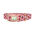 Pink Strawberry Dog Collar - plastic rose gold