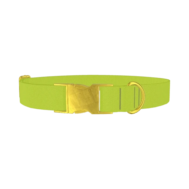 Golden Foliage Color Dog Collar - metal gold