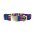 Colorful Dual Stripe Dog Collar - metal silver