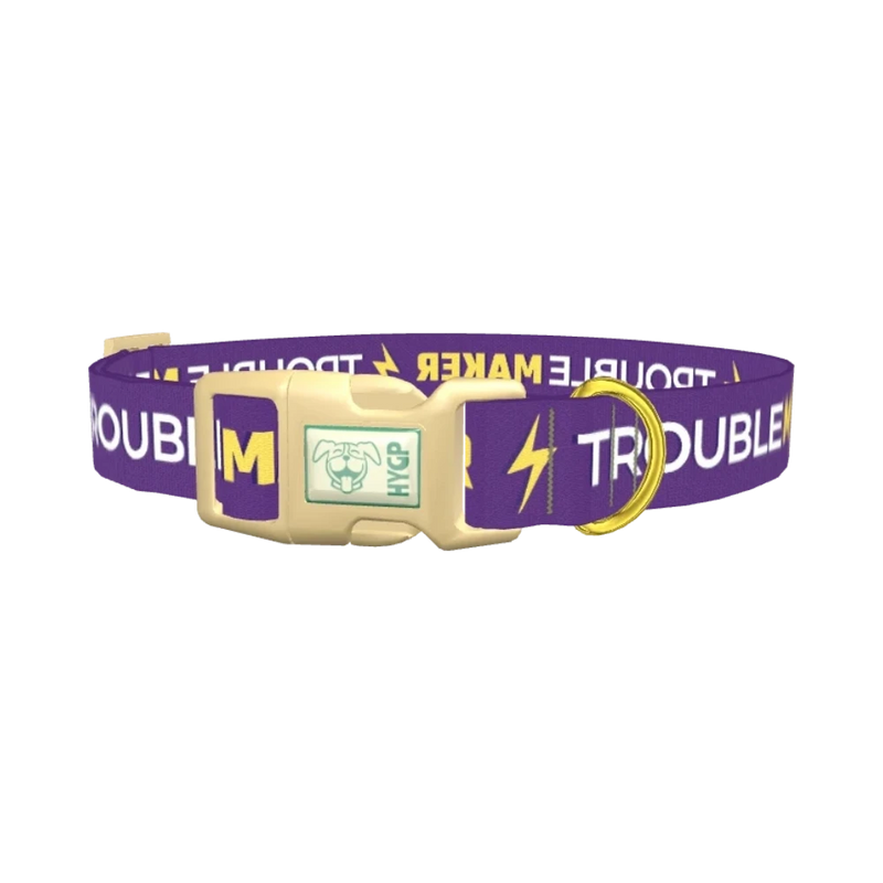 Trouble Maker Dog Collar - plastic gold