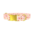 Valentine Hearts Dog Collar - metal gold