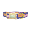 Birthday Text Dog Collar - plastic gold