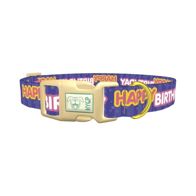 Birthday Text Dog Collar - plastic gold