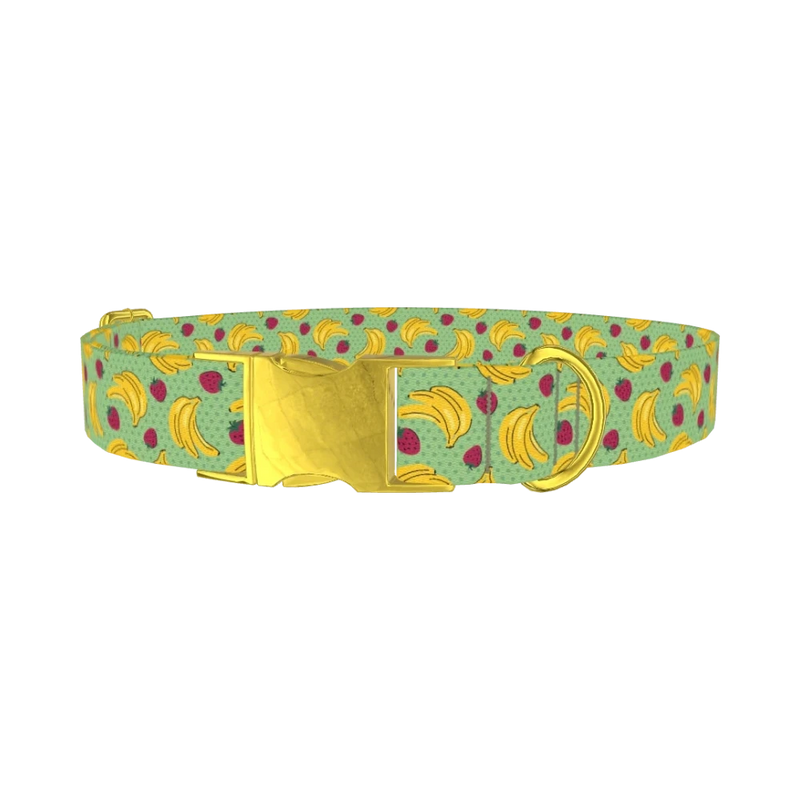 Fruit Pattern Dog Collar - metal gold