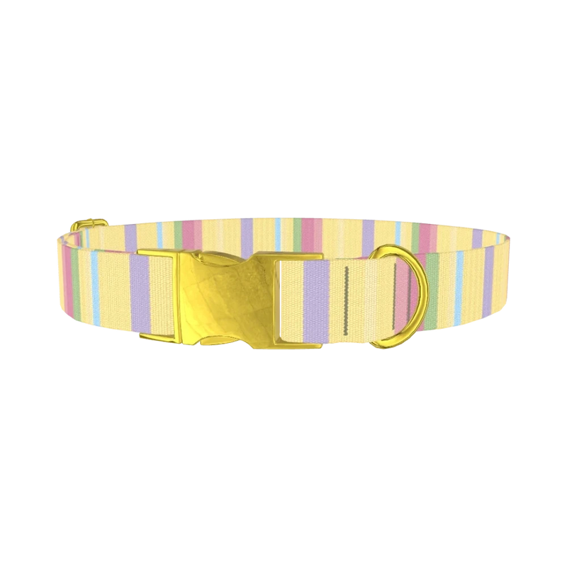 Pastel Stripe Dog Collar - metal gold