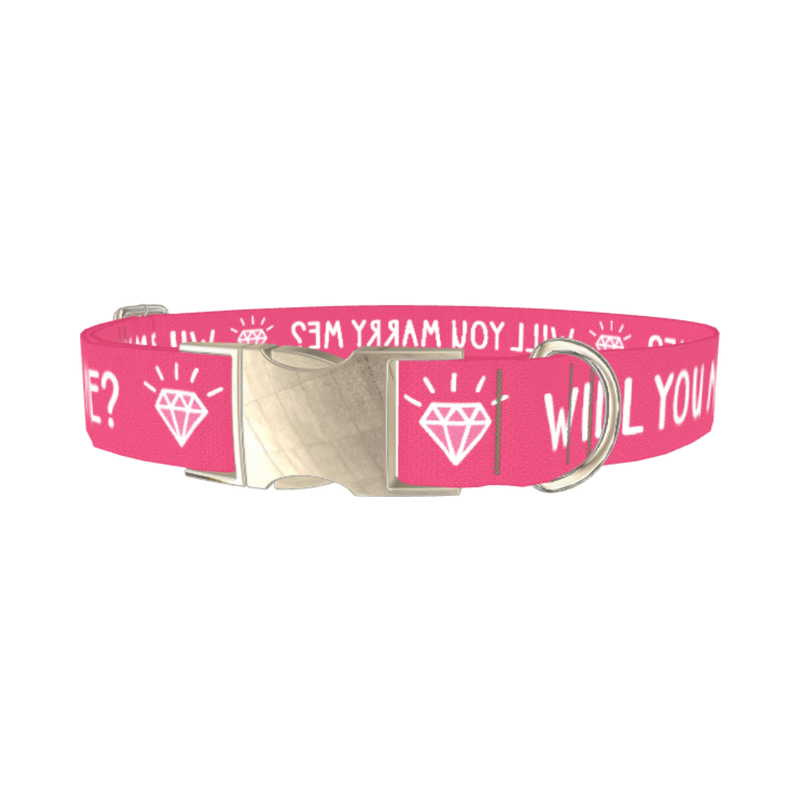 Will You Marry Me Diamond Dog Collar - metal silver