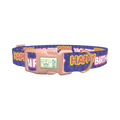 Birthday Text Dog Collar - plastic rose gold