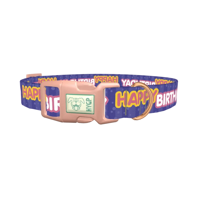 Birthday Text Dog Collar - plastic rose gold