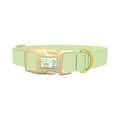  - plastic gold