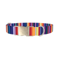 Colorful Mexican Stripe Dog Collar - metal silver