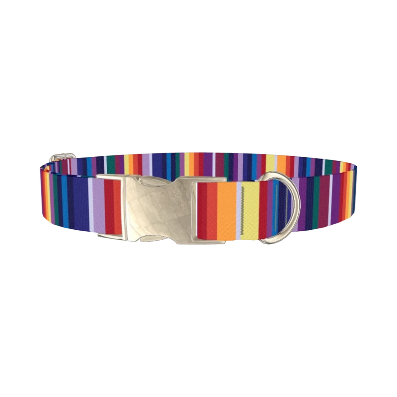 Colorful Mexican Stripe Dog Collar - metal silver