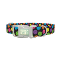 Colorful Smile Dog Collar - plastic silver