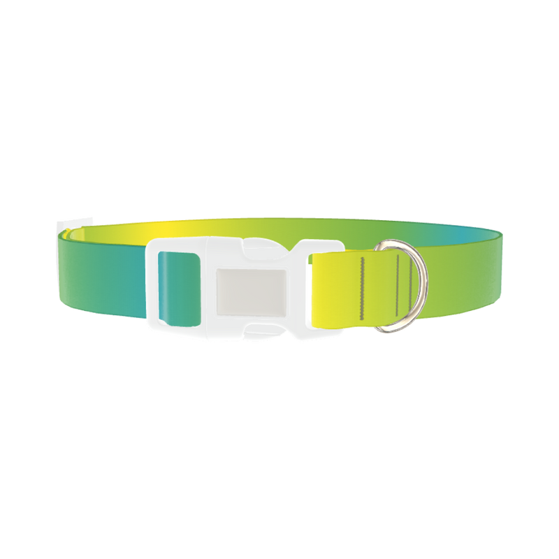Gradient Color Dog Collar - plastic silver
