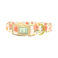 Floral Sweets Dog Collar - plastic gold