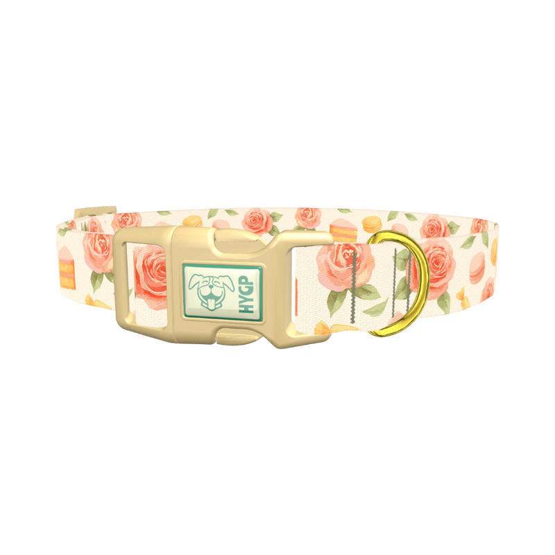 Floral Sweets Dog Collar - plastic gold