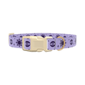 Mystical Star Dog Collar - plastic rose gold