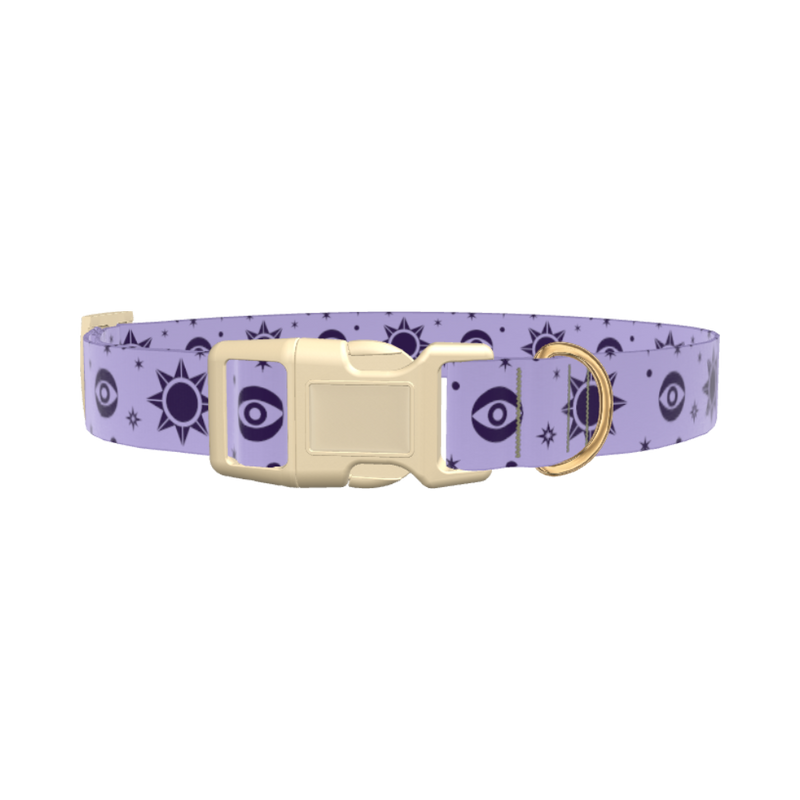 Mystical Star Dog Collar - plastic rose gold