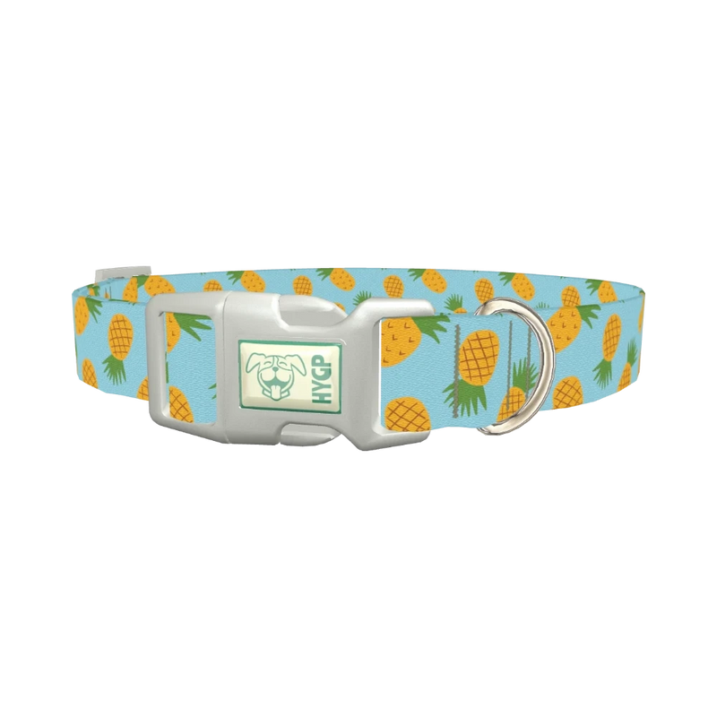 Blue Pineapple Dog Collar - plastic silver