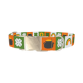 Rainbow Luck Dog Collar - metal silver