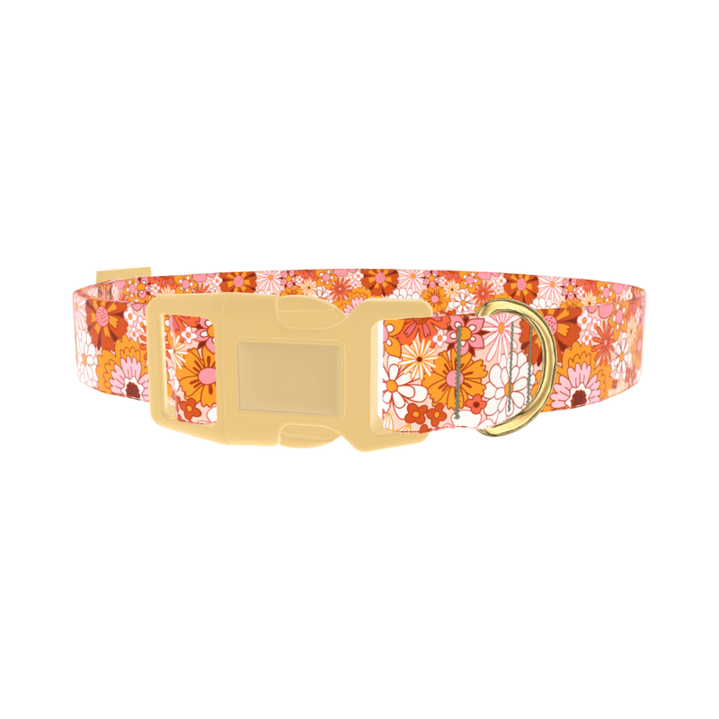 Retro Flower Burst Dog Collar - plastic gold