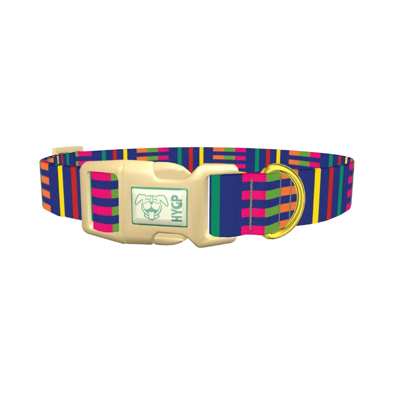 Colorful Dual Stripe Dog Collar - plastic gold