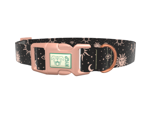 Celestial Sun and Moon Dog Collar