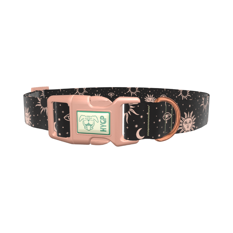 Celestial Sun and Moon Dog Collar - plastic gold