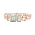 Fall Pumpkin Outline Dog Collar - plastic silver